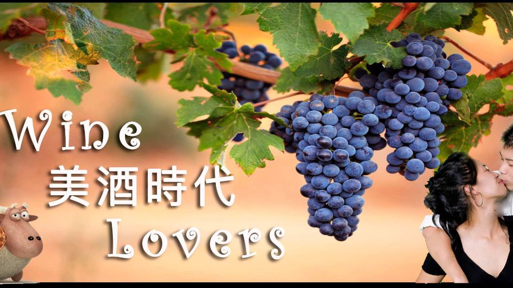 WINE-LOVERS_1