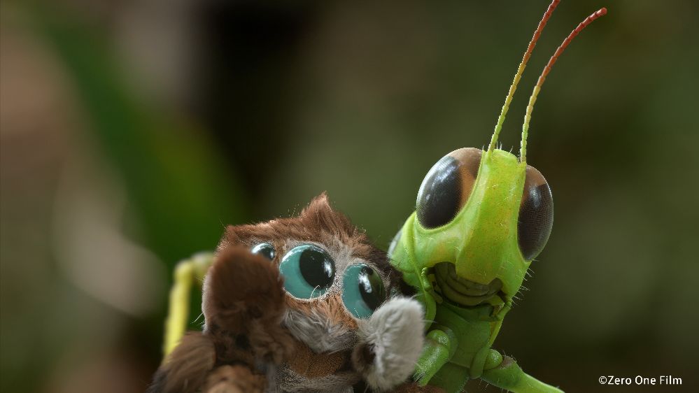 A-MIGHTY-ADVENTURE_2