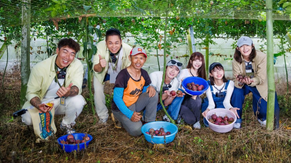 ALL-STAR-TRAVELLERS_3