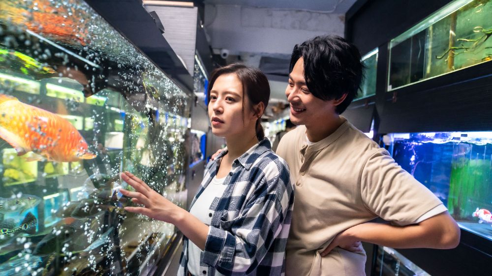 THE-GOOD-THE-BAD-AND-THE-UGLY_1