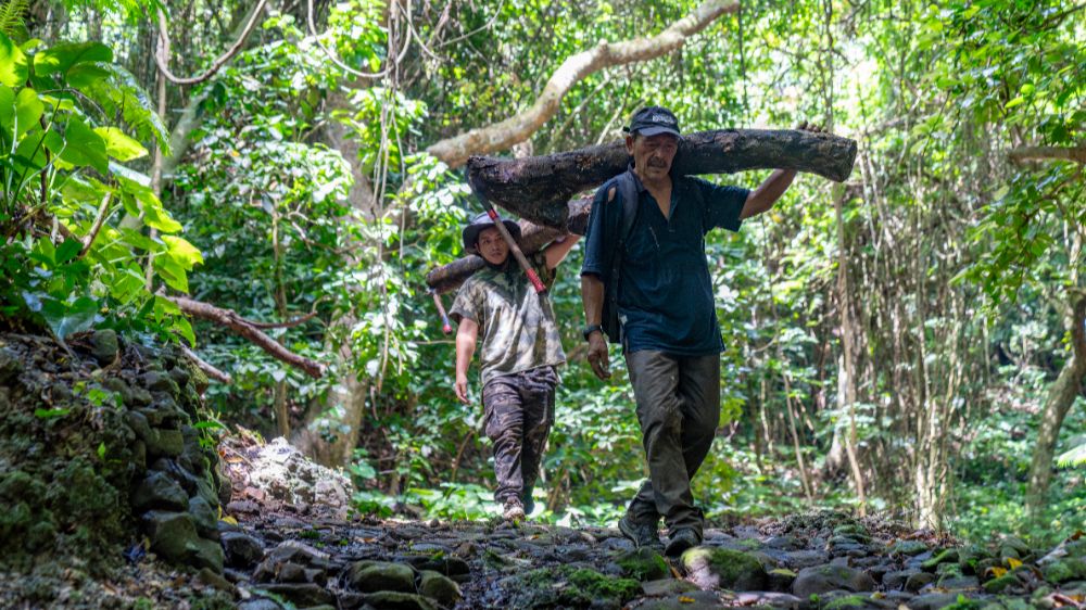 I-DREAM-OF-THE-OCEAN_3