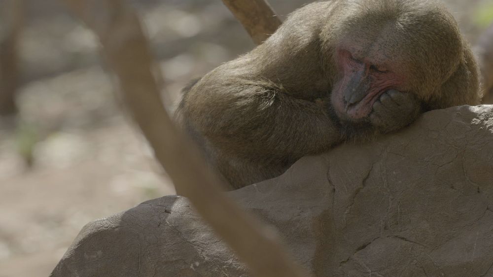 SEVEN-AGES-OF-A-MAN_3