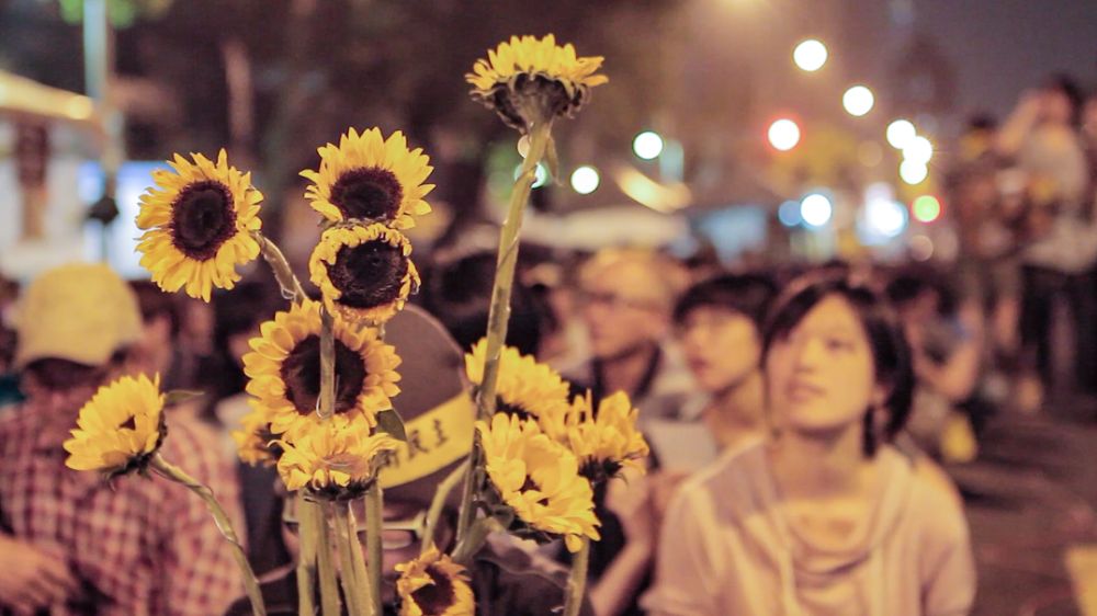 THE-ACCIDENTAL-POLITICIAN_3