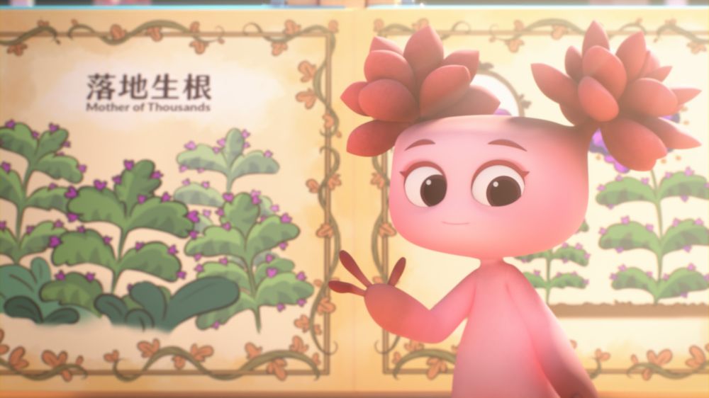 RO-RO-LAND-THE-SUCCULENTS-TALE_3