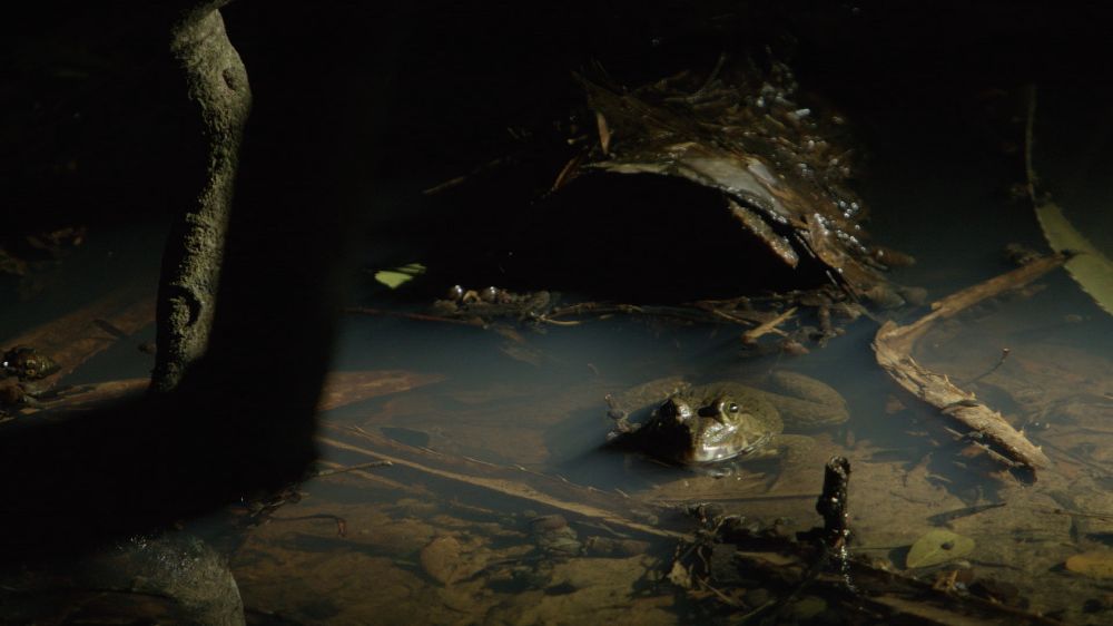 SEVEN-AGES-OF-A-MAN_4