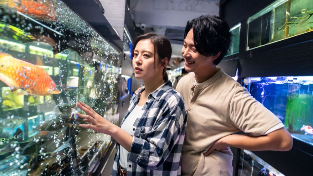 THE-GOOD-THE-BAD-AND-THE-UGLY_1