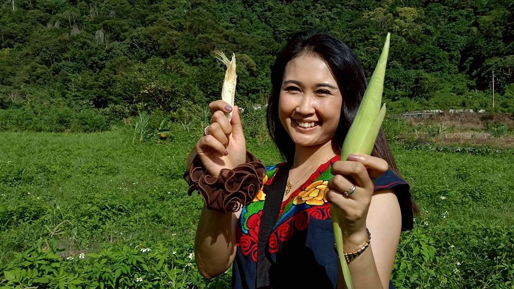 ILA-TRAVEL_COOK_1