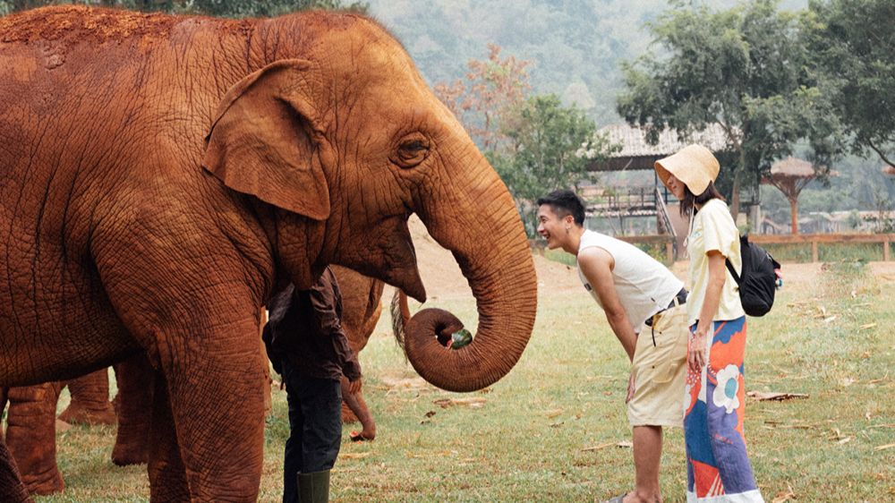 SLOW-HAVEN-CHIANG-MAI_2